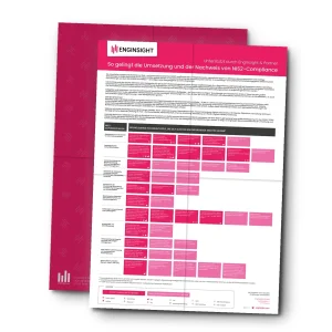 NIS2 Orientierungshilfe | DE